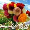 parwizkhanguldawa