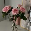 amourcll