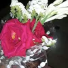 farheenimran23