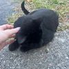 poopiepants.000