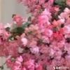 1_q8ha