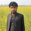 sarfarazmjan2