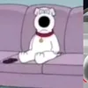 not_shay_ratio