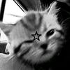 hannany_