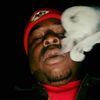 kingzeek1016