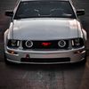 austang_4.6