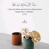 hidupkansunnah1