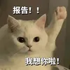 harnnnnnn_2894