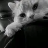 mariap134_