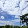 .raihan129