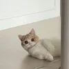 thecatgoesnyan