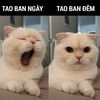 kimlalahjj