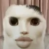 meilouyi