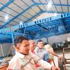 aripkeceng7