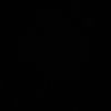 hfv2