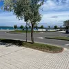 _elias374