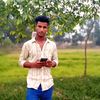 mamun21213