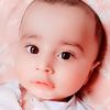 zohaib242022