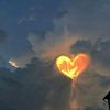 gratitude263
