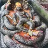 binitapakhrain