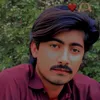maliknaseerahmad828