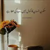 jawahirliaquat