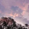 trangsangtrensong