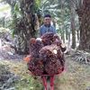 betadawanbukanlawan