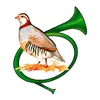 saidsayad2