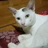filizzadeofficial4