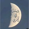 user8125690401586