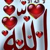 user8186720124966