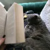 2catkindaday
