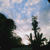 cariapadisini09