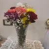 shaimaafawzi835