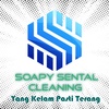 soapy_sental_cleaning