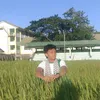 philpi