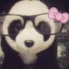 elokkkk_10