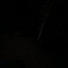 corodilo_lasondre
