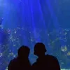 aquario774
