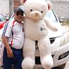 raulrojas8535