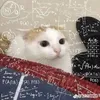 ctehaysuy_ne