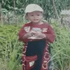 tp_tphat11