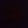 shereenahmed7380