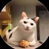 nazaar_sr