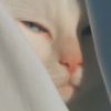 nengpanda93