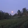 nguyenhoaiphuoc1