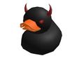 duck79042