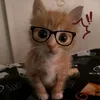 nguy3n.dtvcl_
