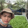 quanghanh_87